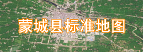 蒙城县标准地图